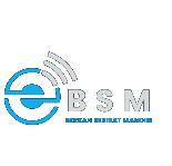 BSM Logo